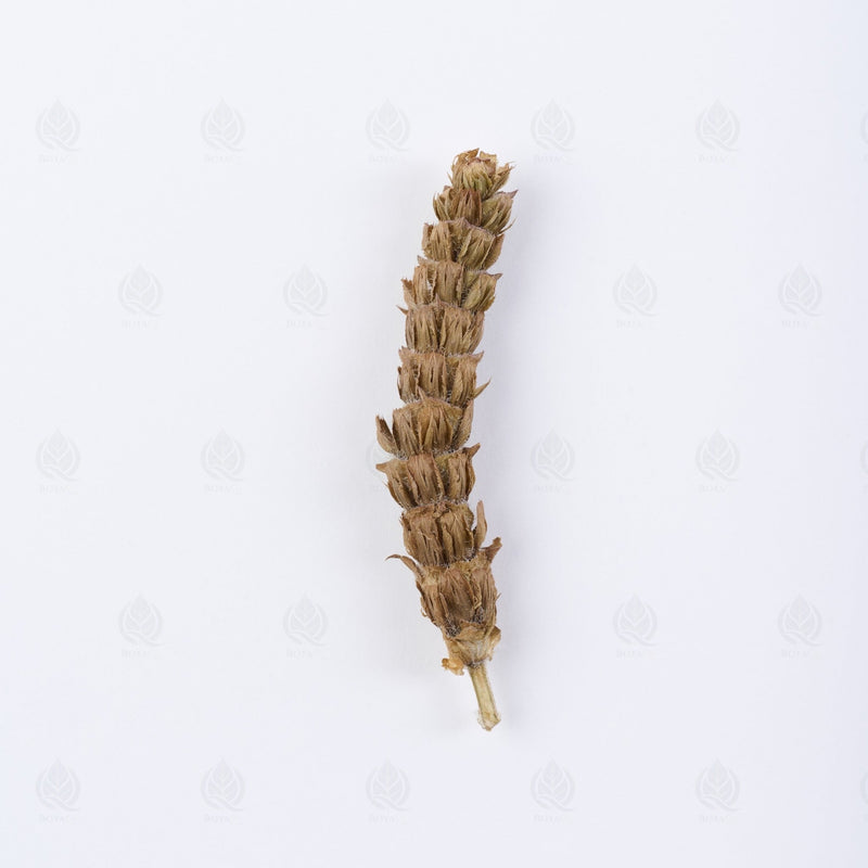 夏枯草, Qing Re Ming Mu 清热明目
