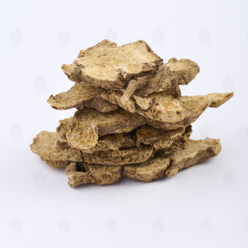 Atractylode (rhizome gris) (Cang Zhu) – vue de côté