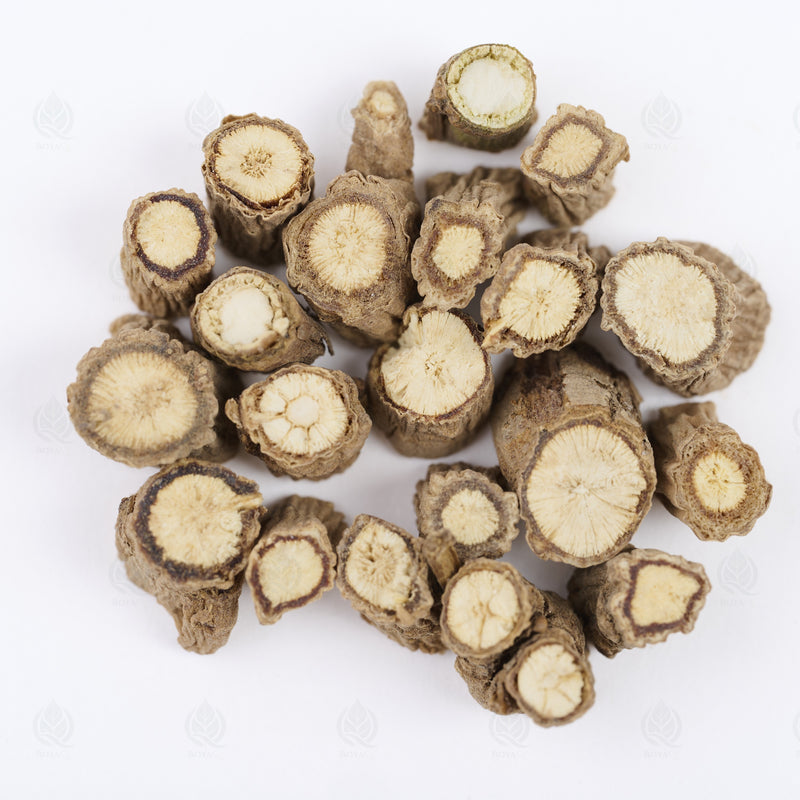 Buplèvre (Chai Hu) – vue de dessus