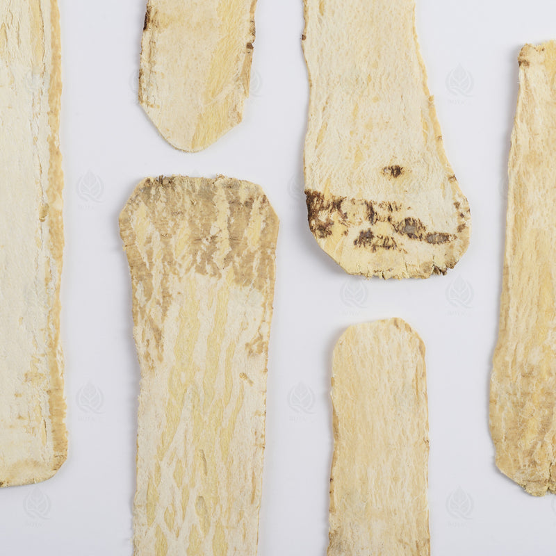 Astragale (Huang Qi) – grosses tranches — 200 g, vue de dessus