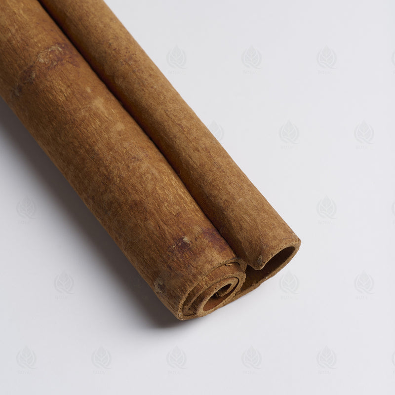 Écorce de Cannelle de Chine (Rou Gui) – vue de côté