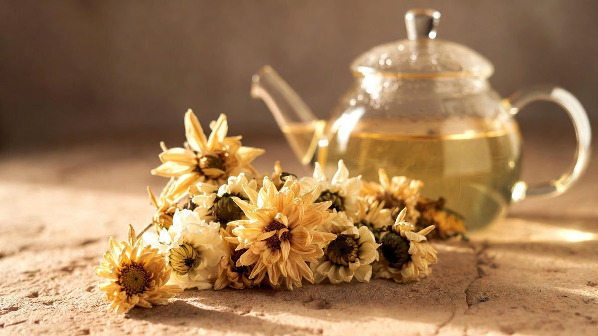 Le chrysanthème (菊花 Jú Huā), fleur de l’été - BotaQi