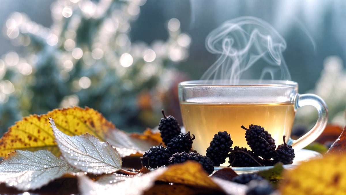 White Dew (白露 Báilù): dry coolness arrives - BotaQi