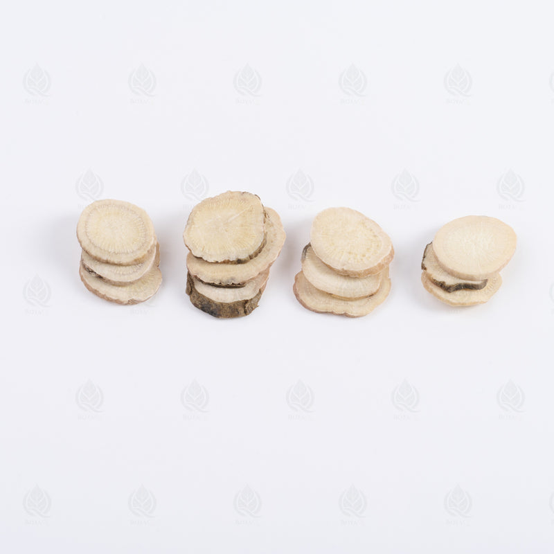 Racine de Pivoine blanche (Bai Shao) – vue de côté