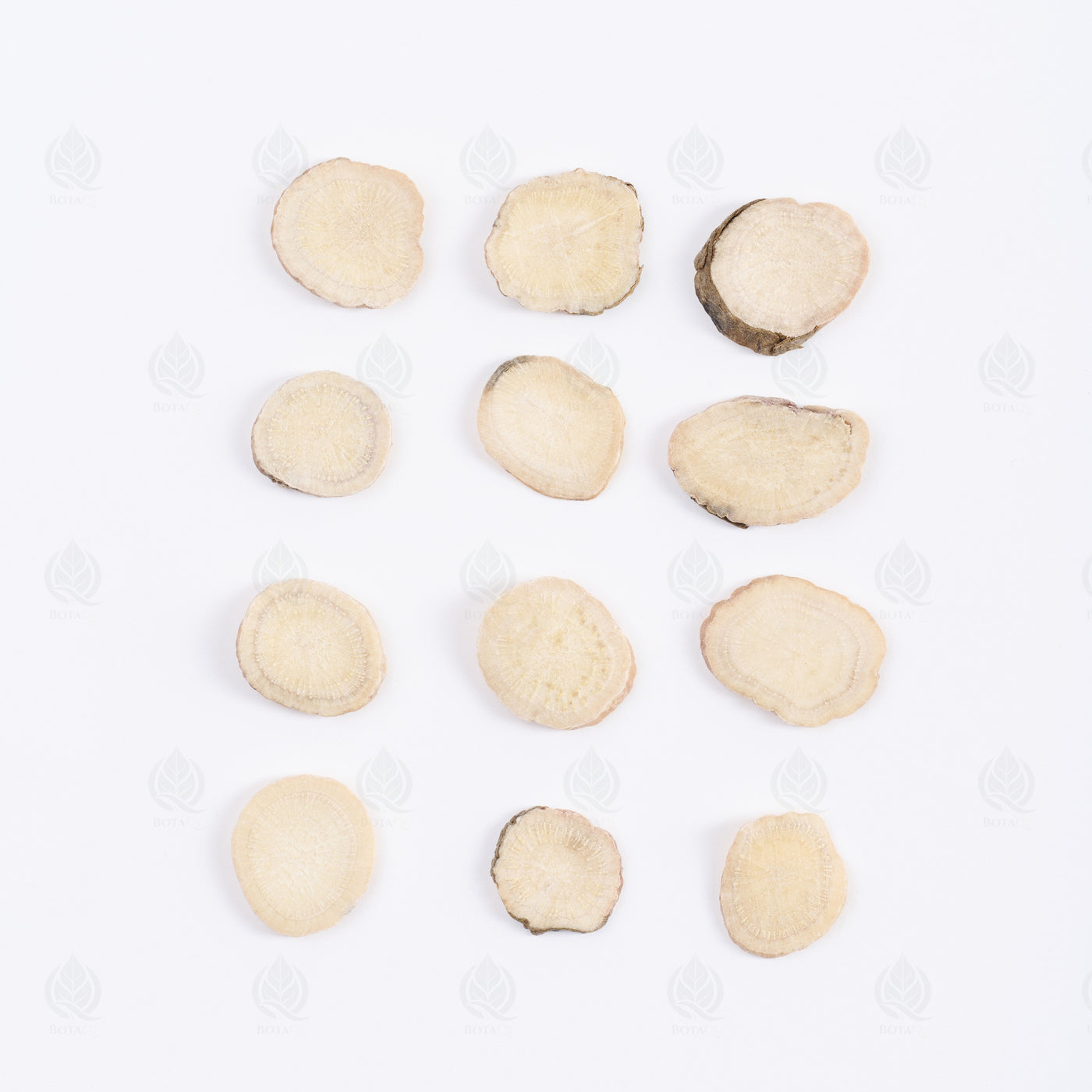 Racine de Pivoine blanche (Bai Shao) – vue de dessus