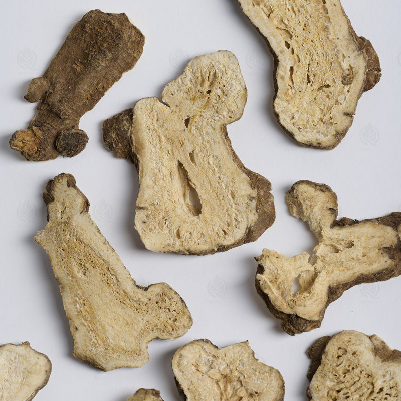Atractylode (rhizome blanc) (Bai Zhu) – vue de dessus