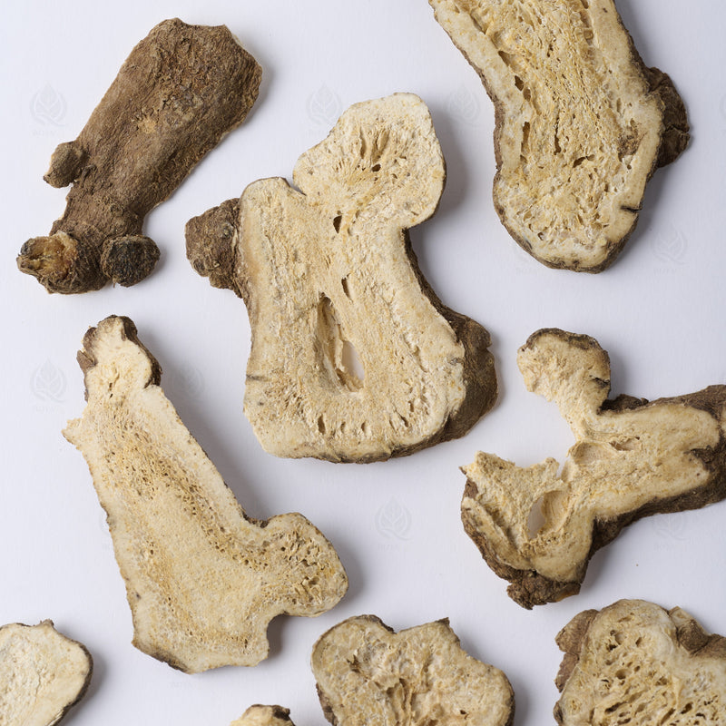 Atractylode (rhizome blanc) (Bai Zhu) – vue de dessus