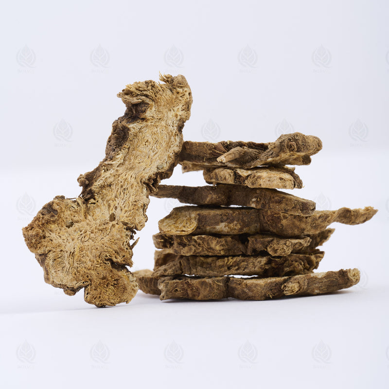 Atractylode (rhizome gris) (Cang Zhu) – vue de côté
