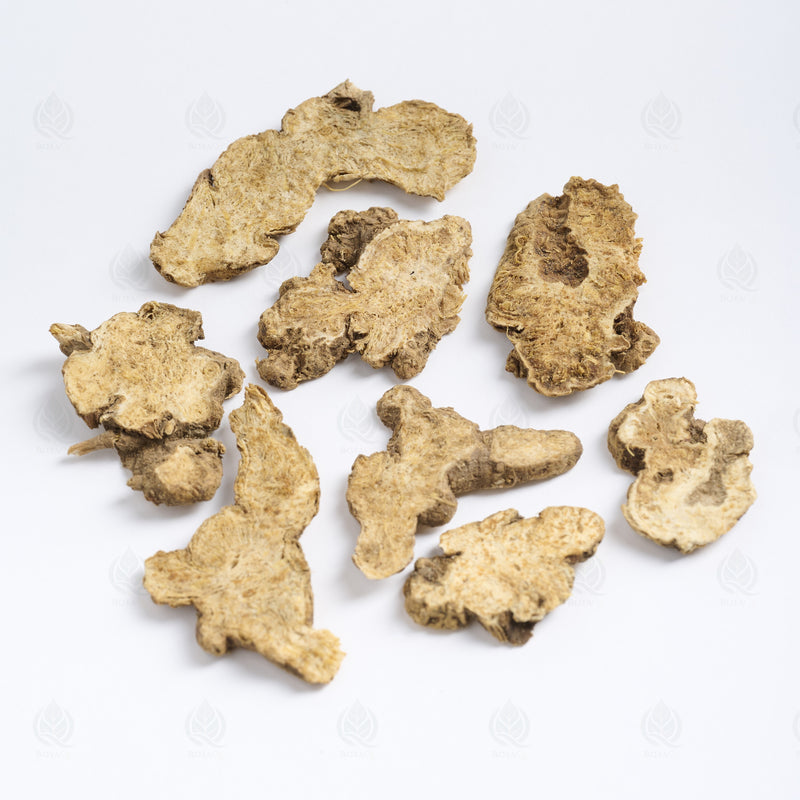 Atractylode (rhizome gris) (Cang Zhu) – vue de dessus