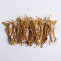 Fleur de Cordyceps militaris (Chong Cao Hua) – vue de dessus