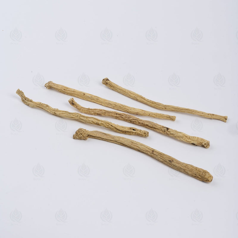 Codonopsis - 党参 (Dang Shen)
