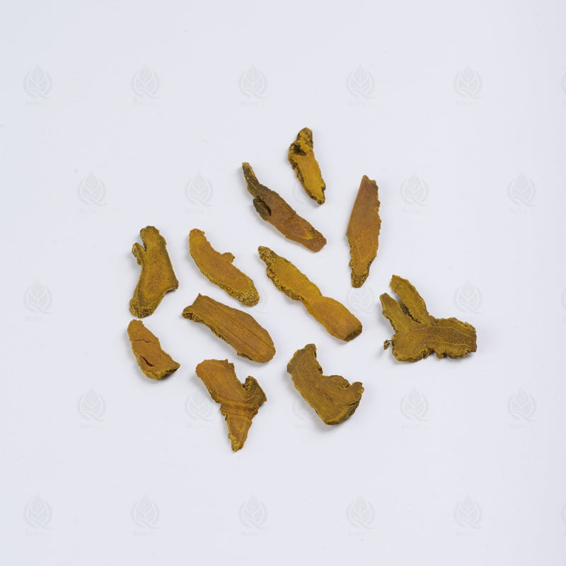 Curcuma - 姜黄 (Jiang Huang)