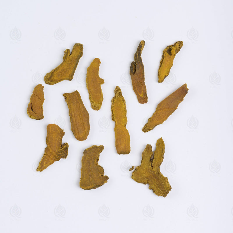 Curcuma - 姜黄 (Jiang Huang)
