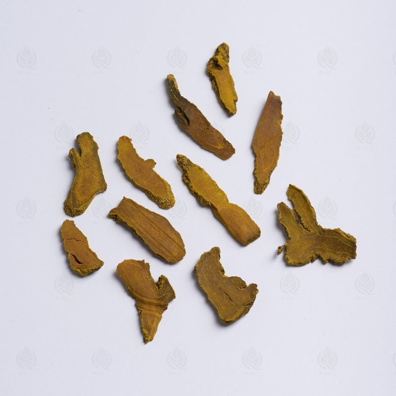 Curcuma - 姜黄 (Jiang Huang)
