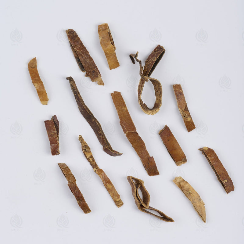 Écorce de Trichosanthes - 瓜蒌皮 (Gua Lou Pi)