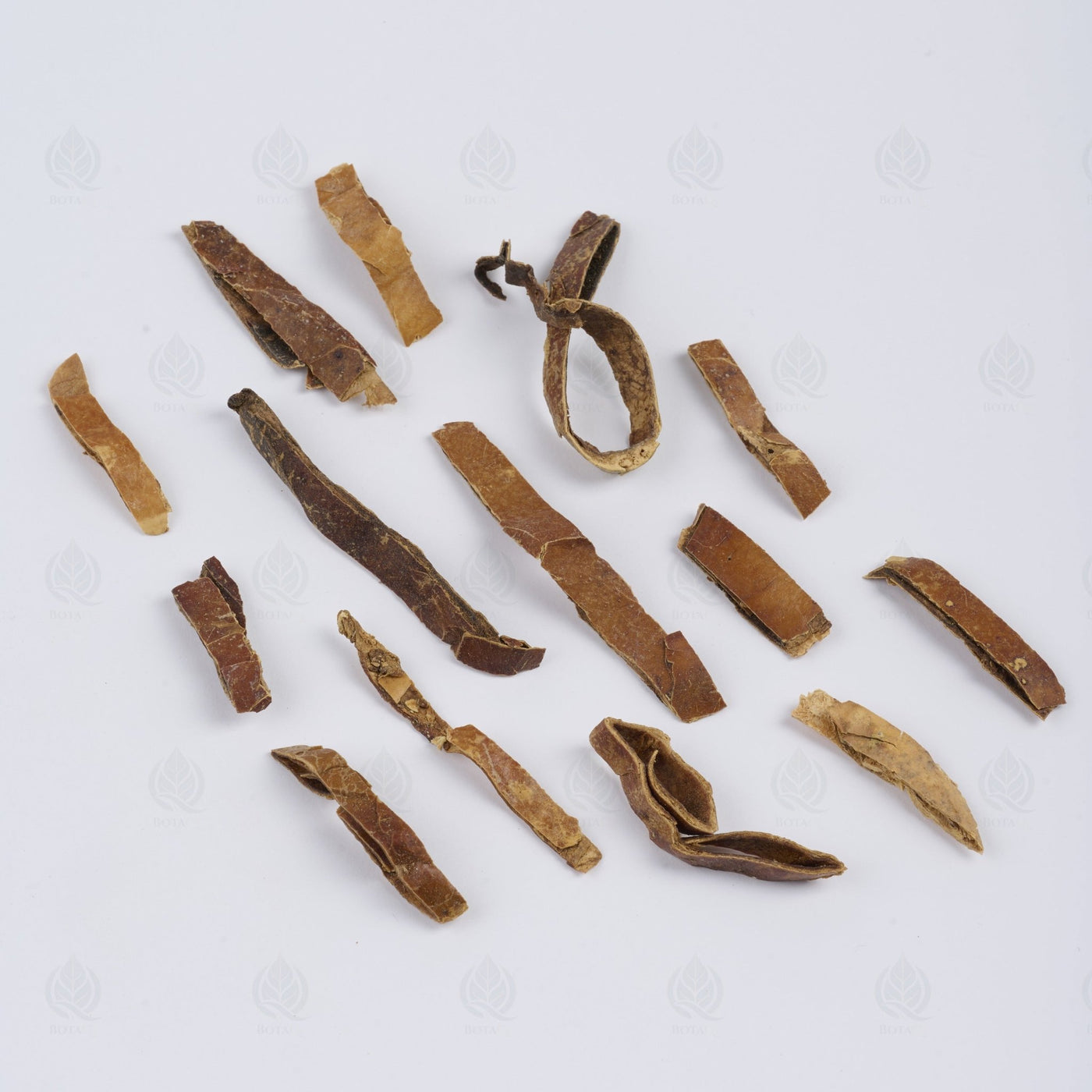 Écorce de Trichosanthes - 瓜蒌皮 (Gua Lou Pi)