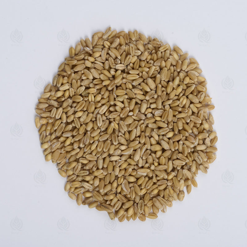 Grains de Blé légers (flottants) (Fu Xiao Mai) – vue de dessus