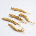 Ginseng Blanc (racine) - 人参 (Ren Shen)