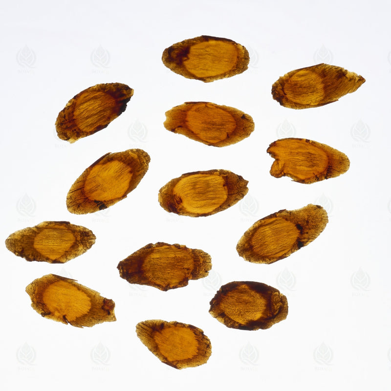 Ginseng Coréen Rouge - 红参 (Hong Shen)