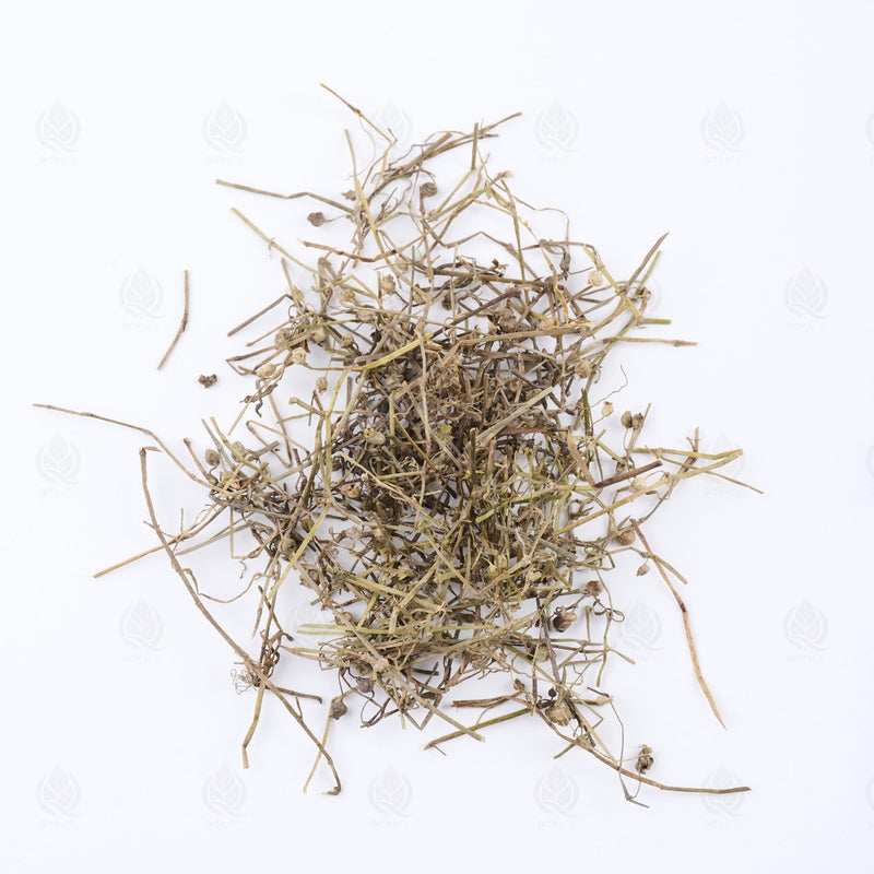 Herbe de Hédyote - 白花蛇舌草 (Bai Hua She She Cao)