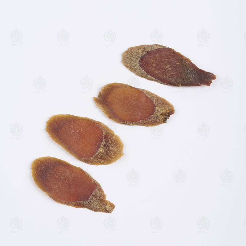 Ginseng Coréen Rouge (Hong Shen) – tranches, vue de côté