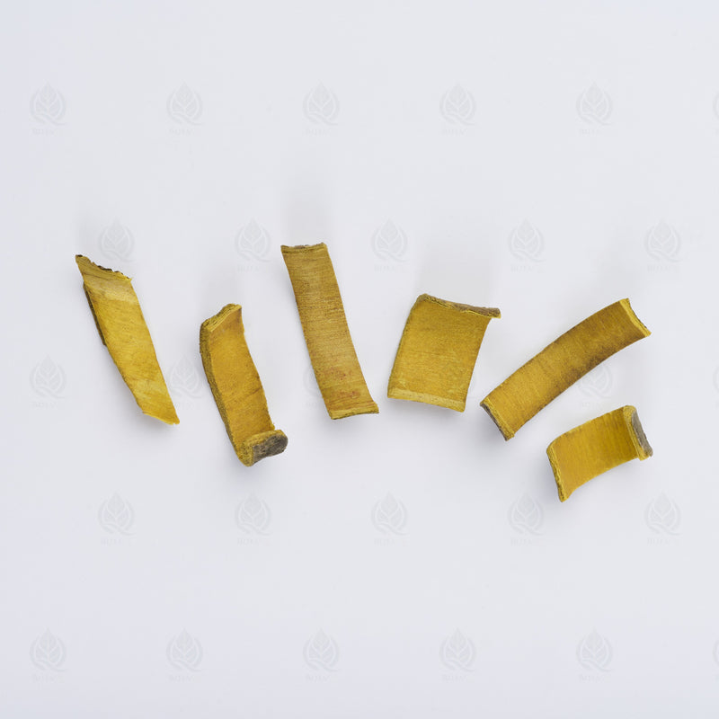 Cyprès jaune (Phellodendron) (Huang Bai) – vue de dessus