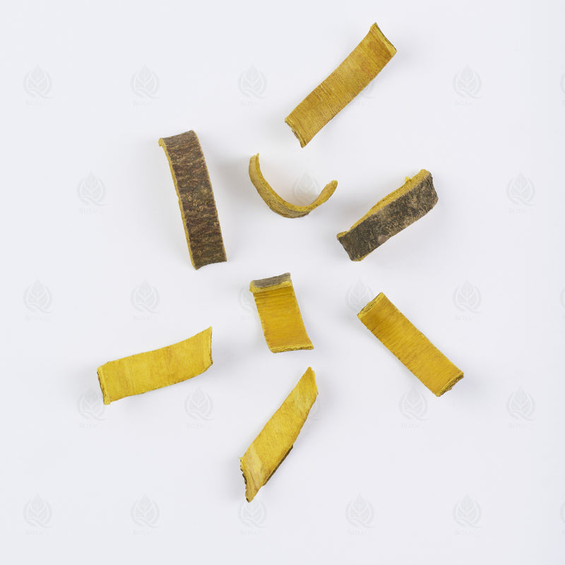 Cyprès jaune (Phellodendron) (Huang Bai) – vue de dessus