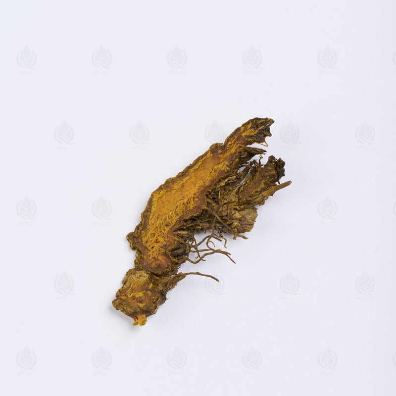 Rhizome de Savoyanne (Huang Lian) – vue de côté
