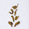 Rhizome de Savoyanne (Huang Lian) – vue de dessus
