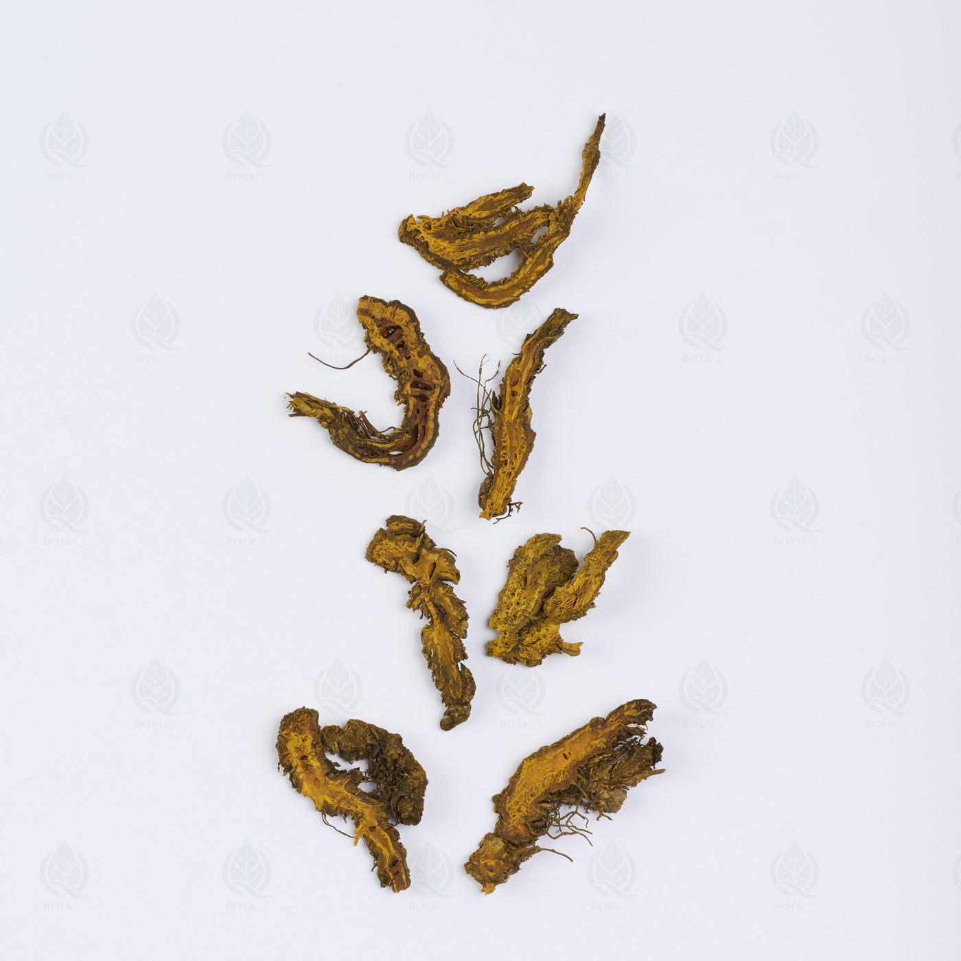 Rhizome de Savoyanne (Huang Lian) – vue de dessus