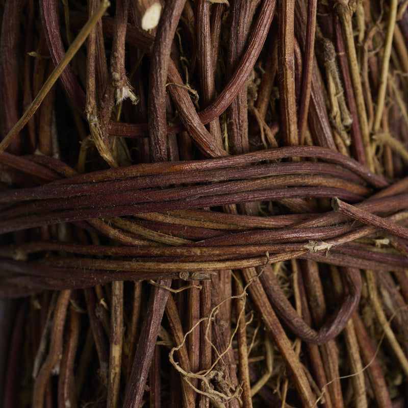 Chapelet de Canton (Abrus) (Ji Gu Cao) – vue de dessus