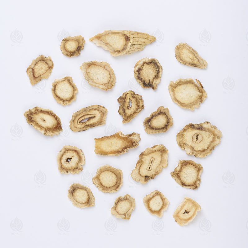 Racine de Platycodon (Jie Geng) – vue de dessus