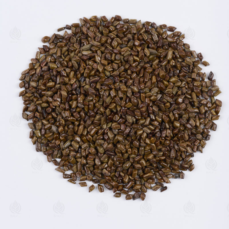Graines de Cassia tora (Jue Ming Zi) – vue de dessus