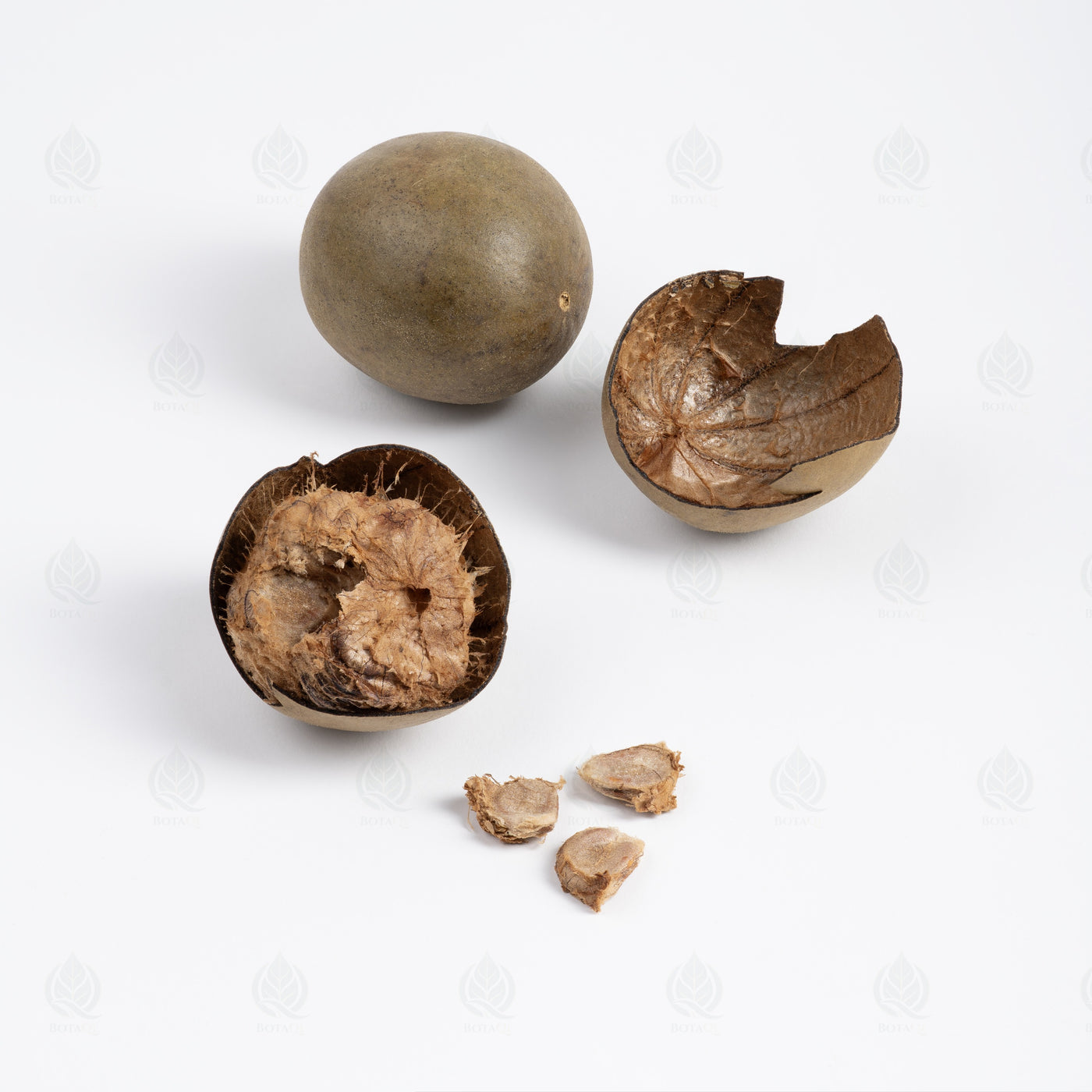 Fruit du Moine (Luo Han Guo) (Luo Han Guo) – noir — 4 pièces, vue de côté