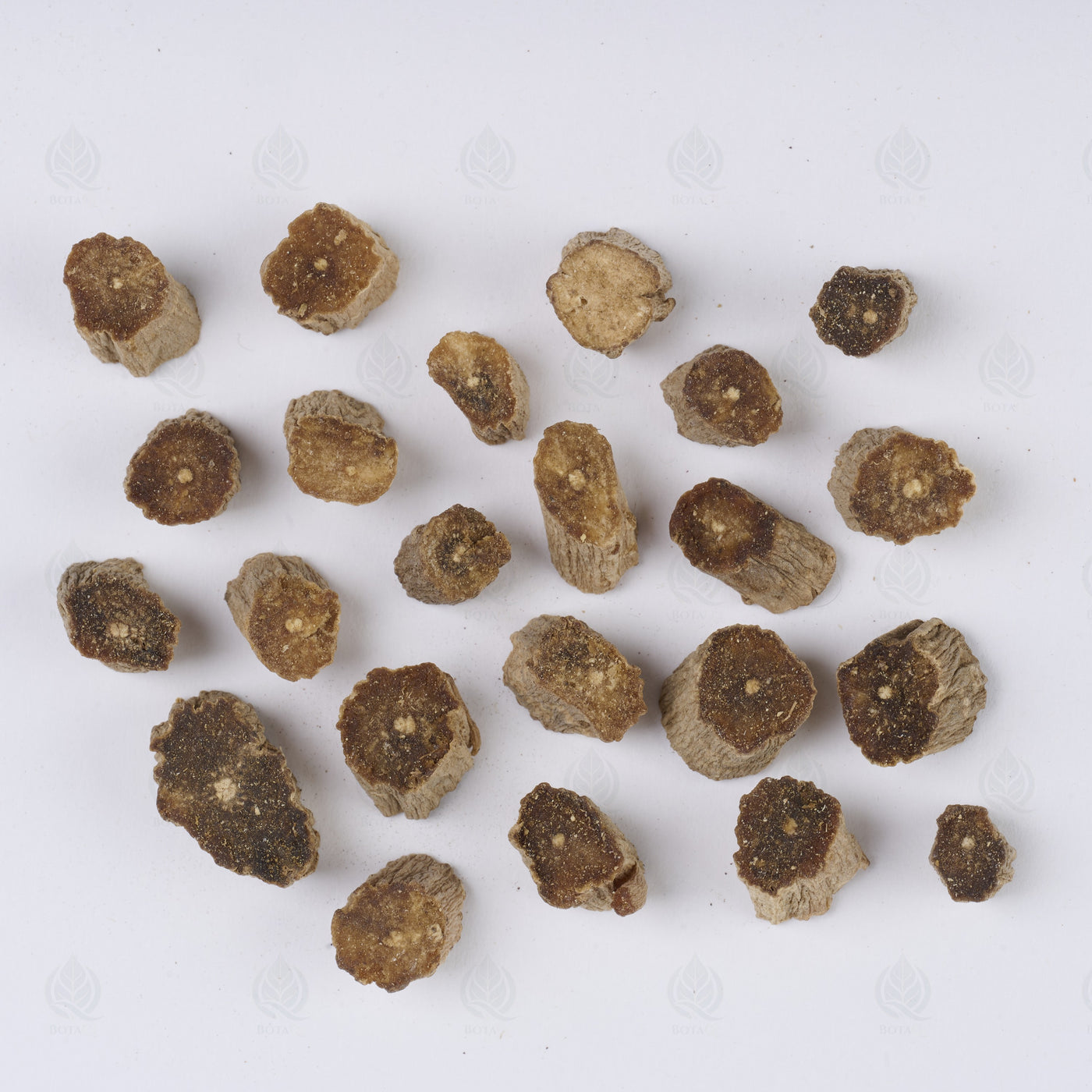 Racine d’Achyranthes (Huai Niu Xi) (Huai Niu Xi) – vue de dessus