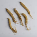 Ginseng Blanc (racine) (Ren Shen) – vue de dessus