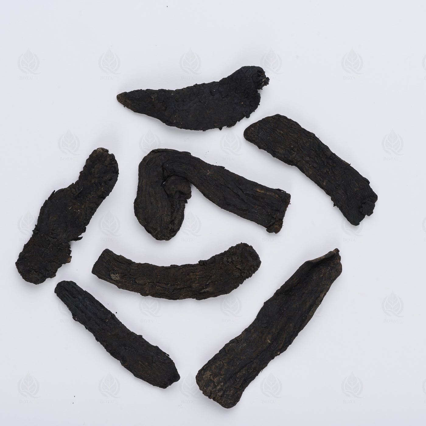 Cistanche (Rou Cong Rong) – vue de dessus