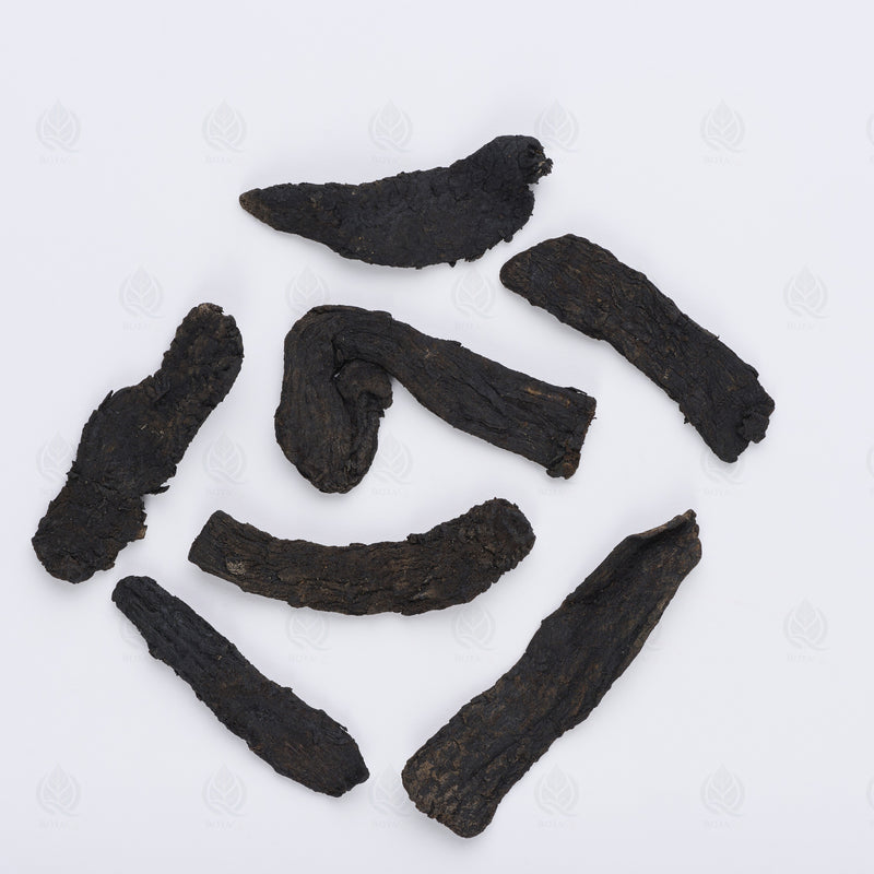 Cistanche (Rou Cong Rong) – vue de dessus