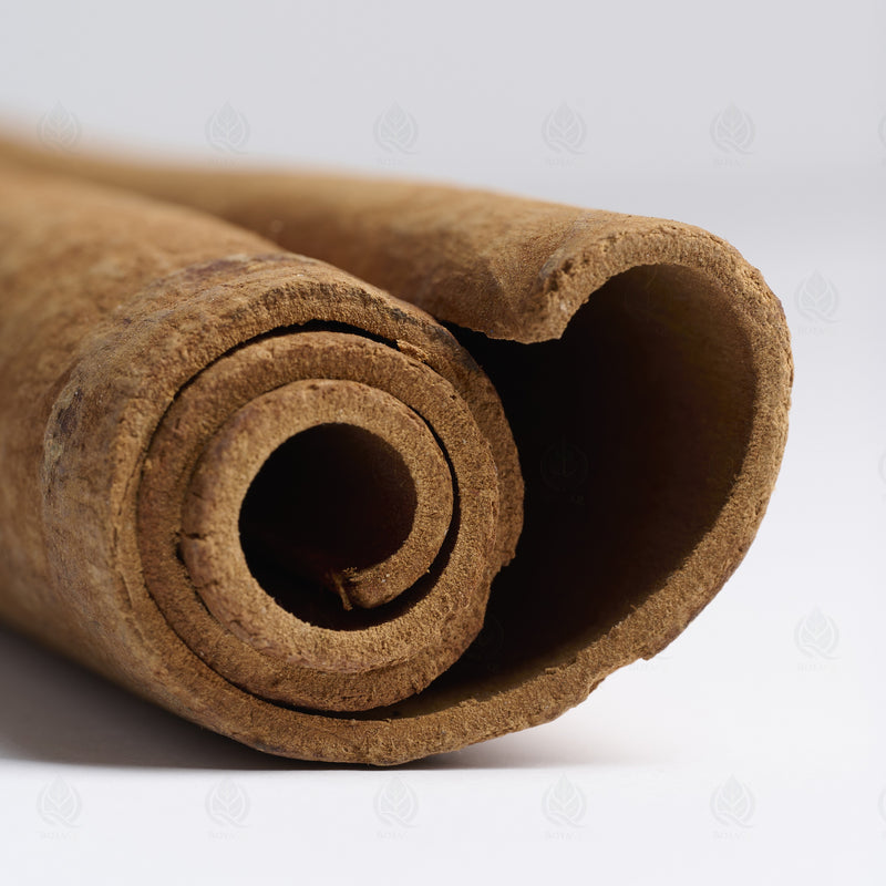 Écorce de Cannelle de Chine (Rou Gui) – vue de côté