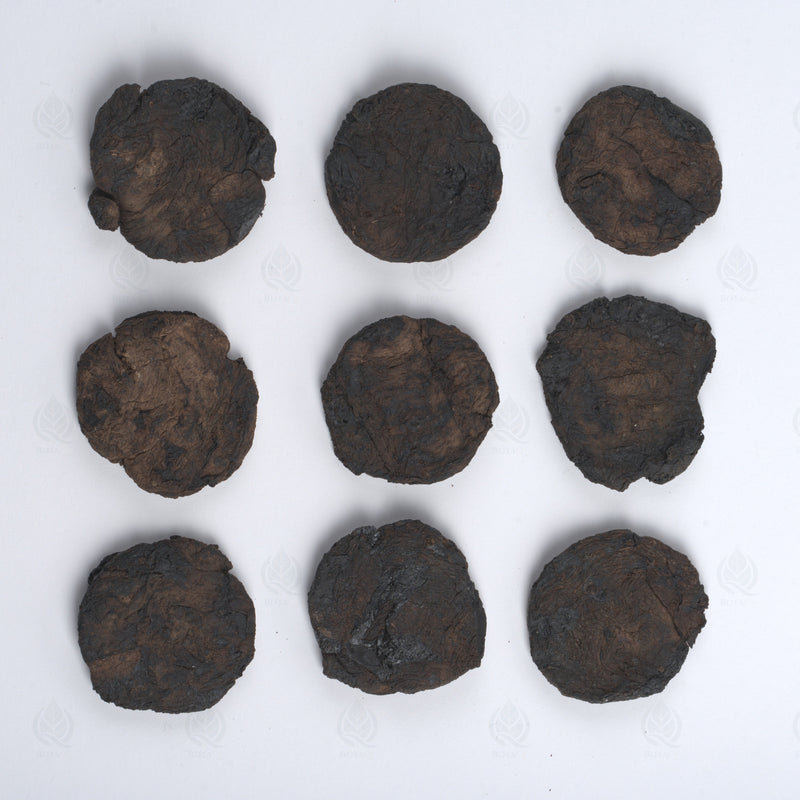 Racine de Rehmannia (fraîche/crue) (Sheng Di Huang) – vue de dessus