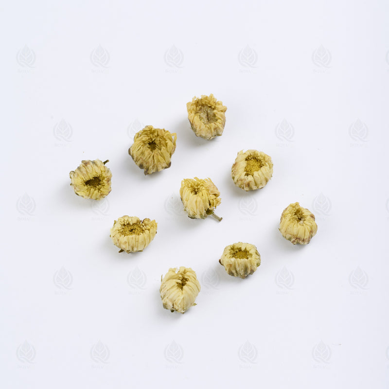 Boutons de Chrysanthème (gros) (Tai Ju Hua) – vue de côté
