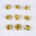 Boutons de Chrysanthème (gros) (Tai Ju Hua) – vue de dessus