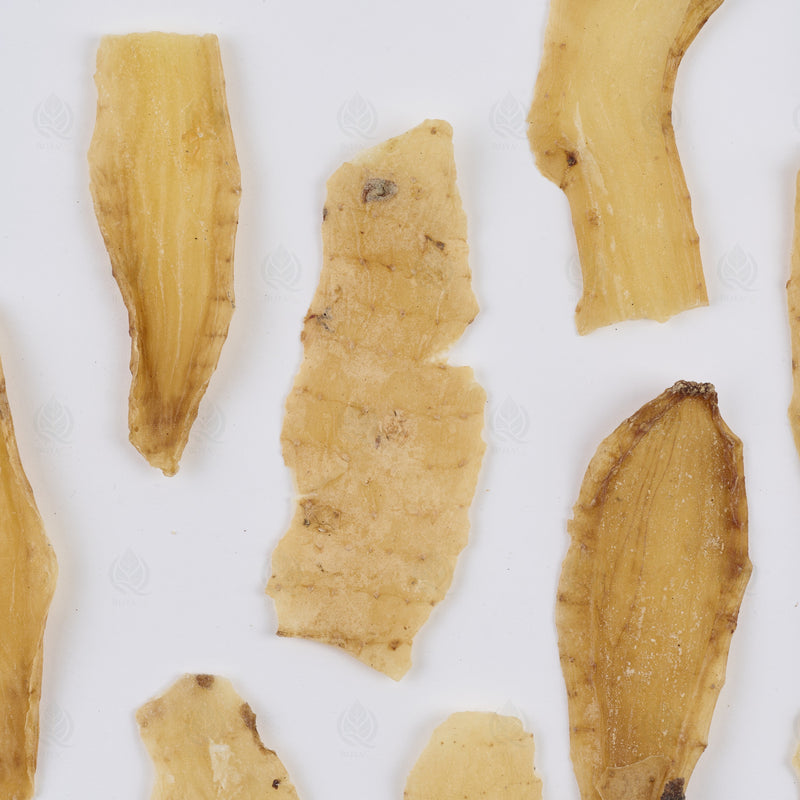 Racine de Gastrodia (Tian Ma) – vue de dessus