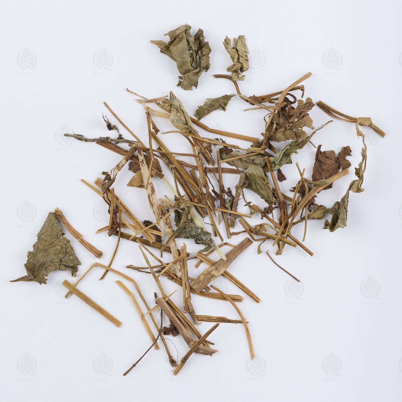 Herbe au curé (Houttuynia) (Yu Xing Cao) – vue de dessus