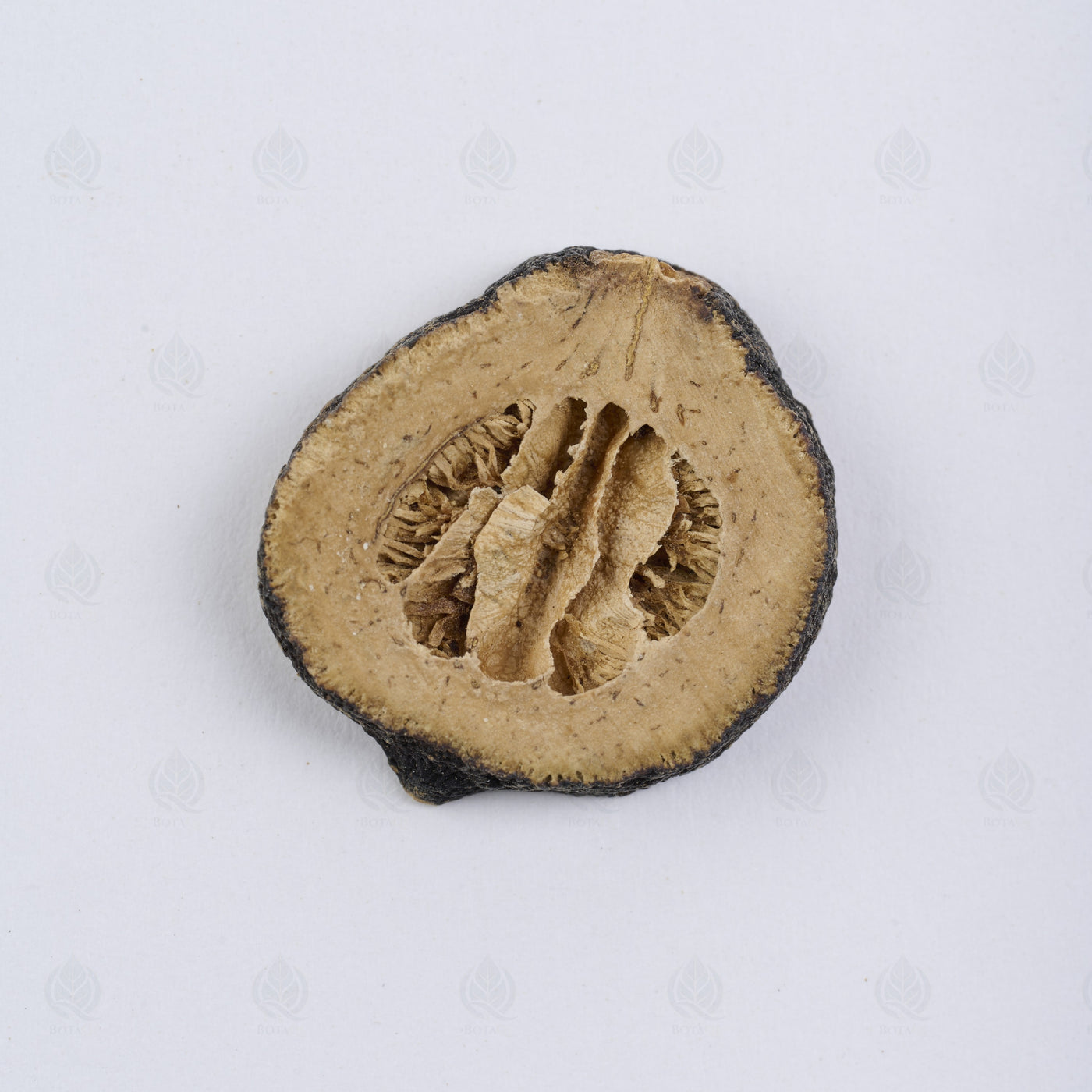 Orange amère immature (Zhi Shi) – vue de dessus
